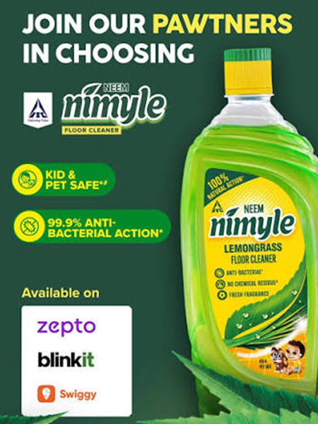 Nimyle (1)